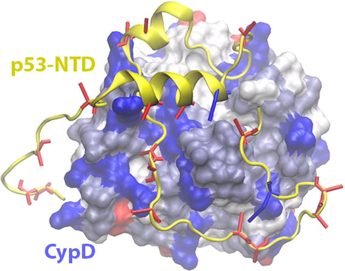 Publication Figure