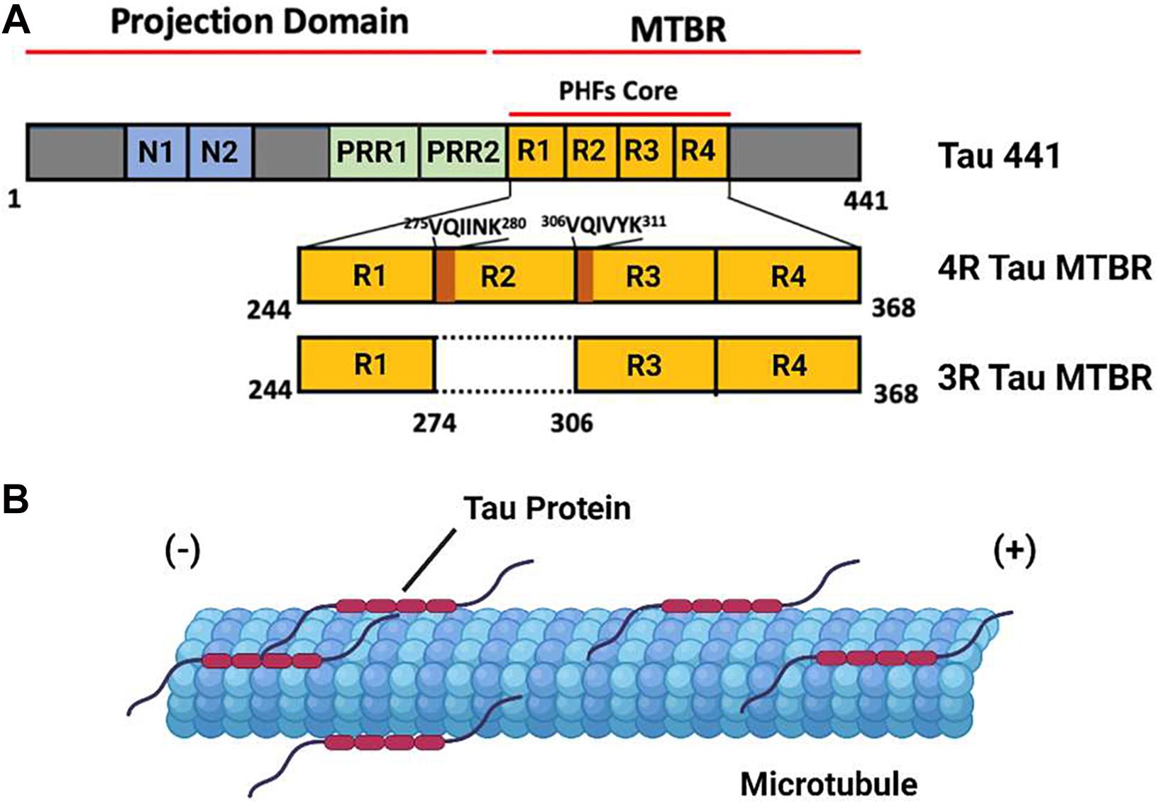 Publication Figure